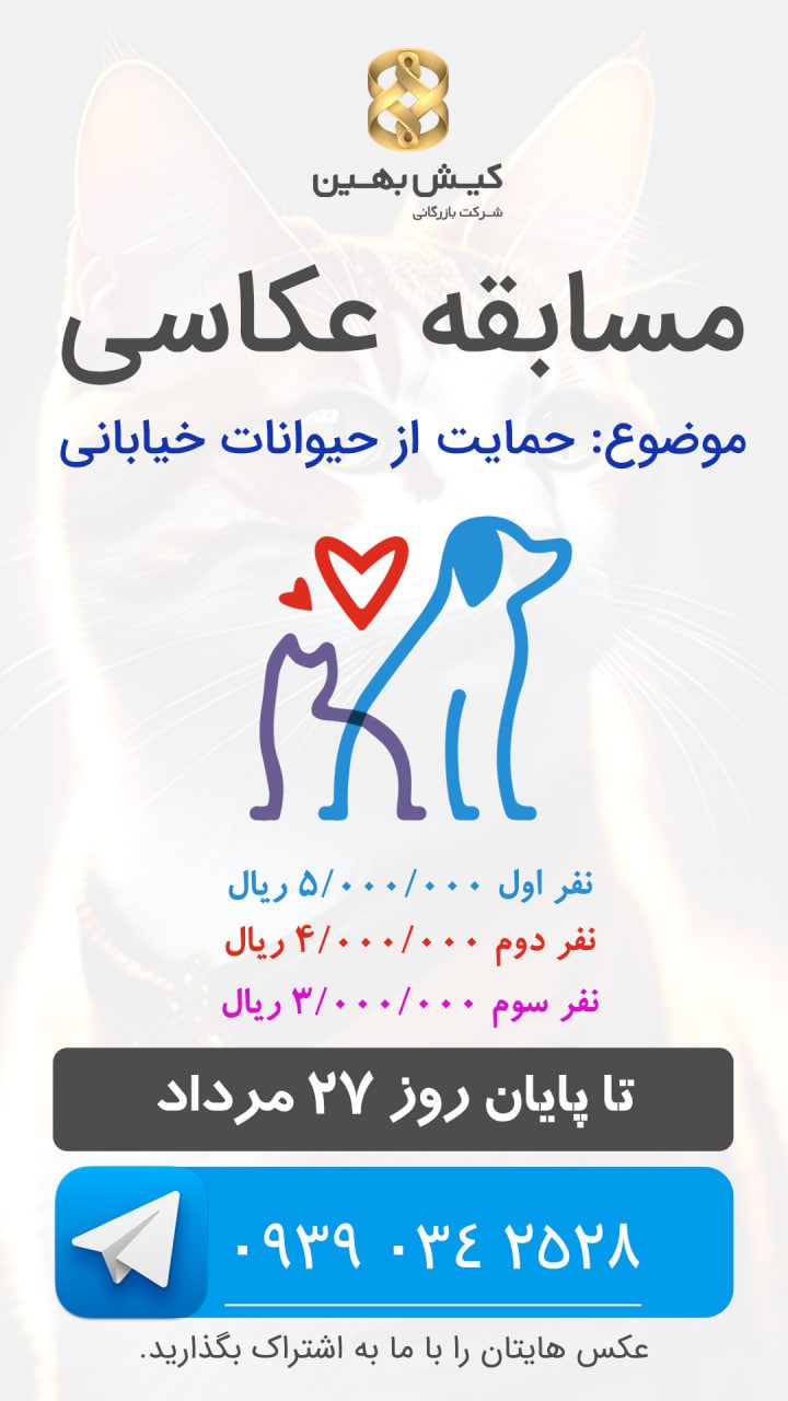 شهر، برای همه ماست