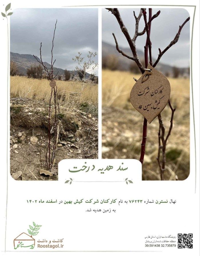 هدیه ای که ریشه می گیرد