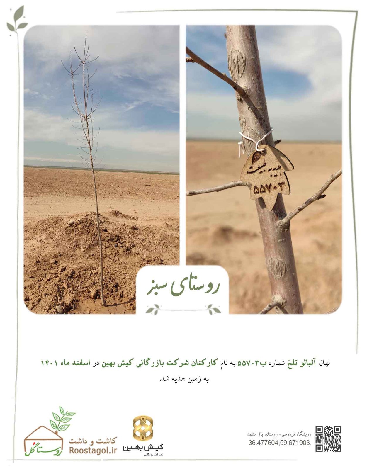 هدیه ای که ریشه می گیرد