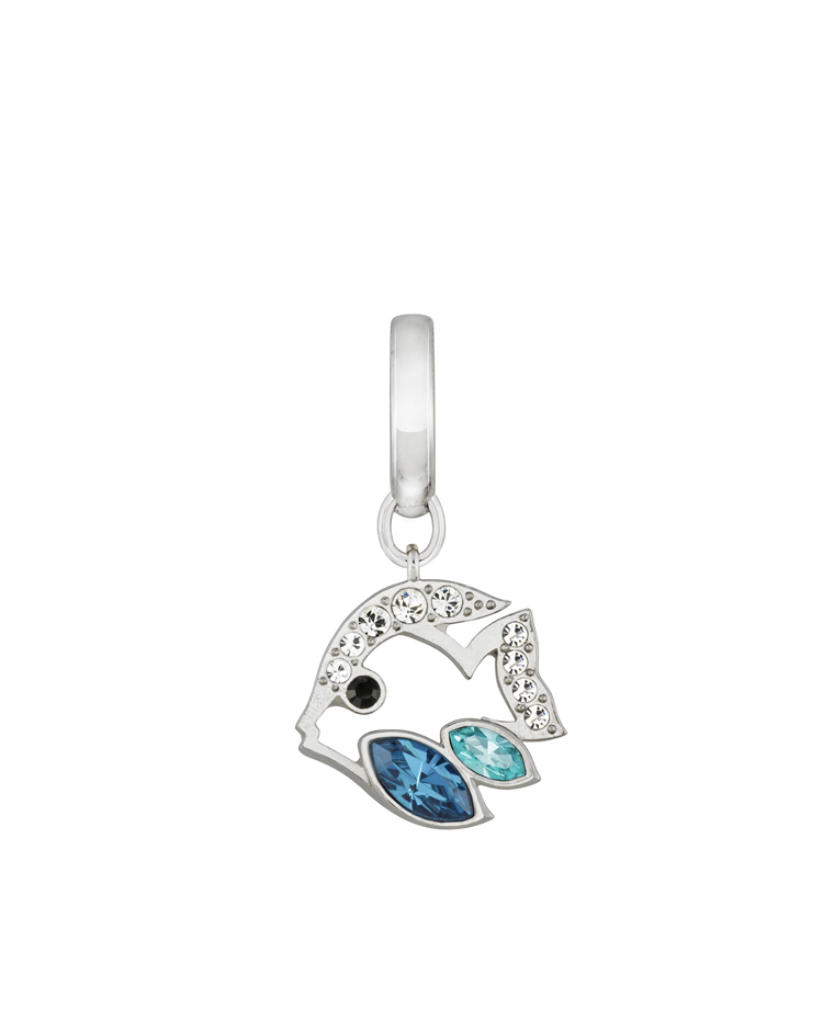 CHARM