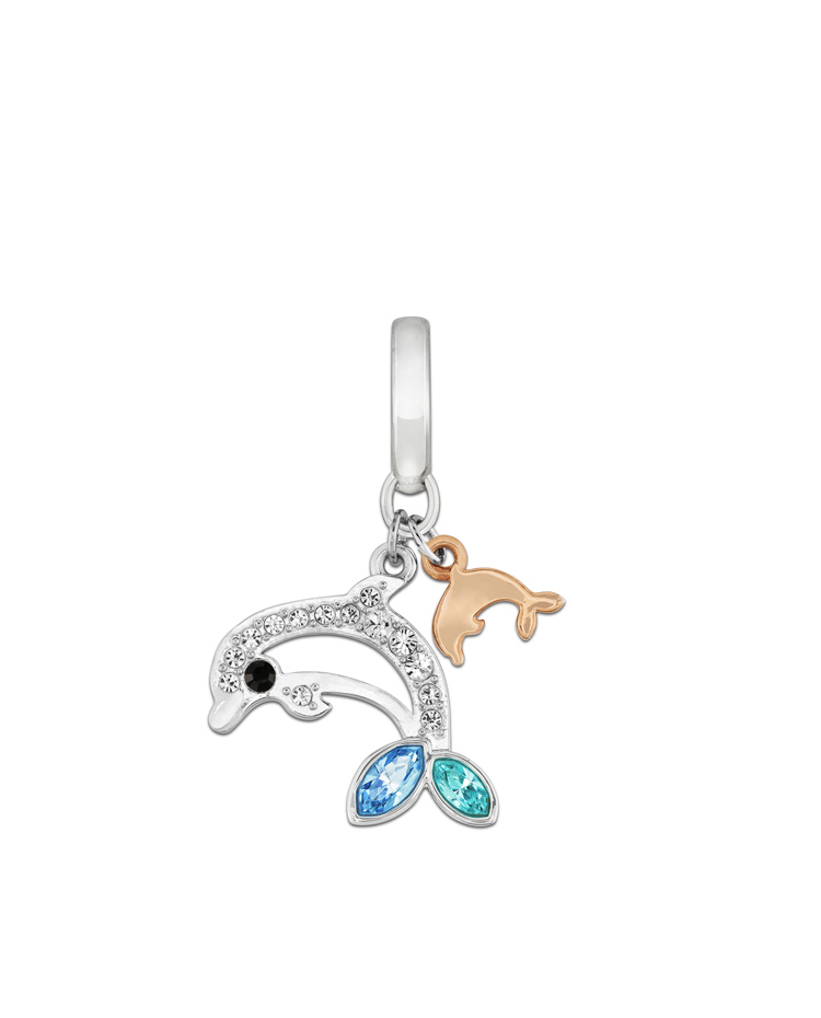 CHARM