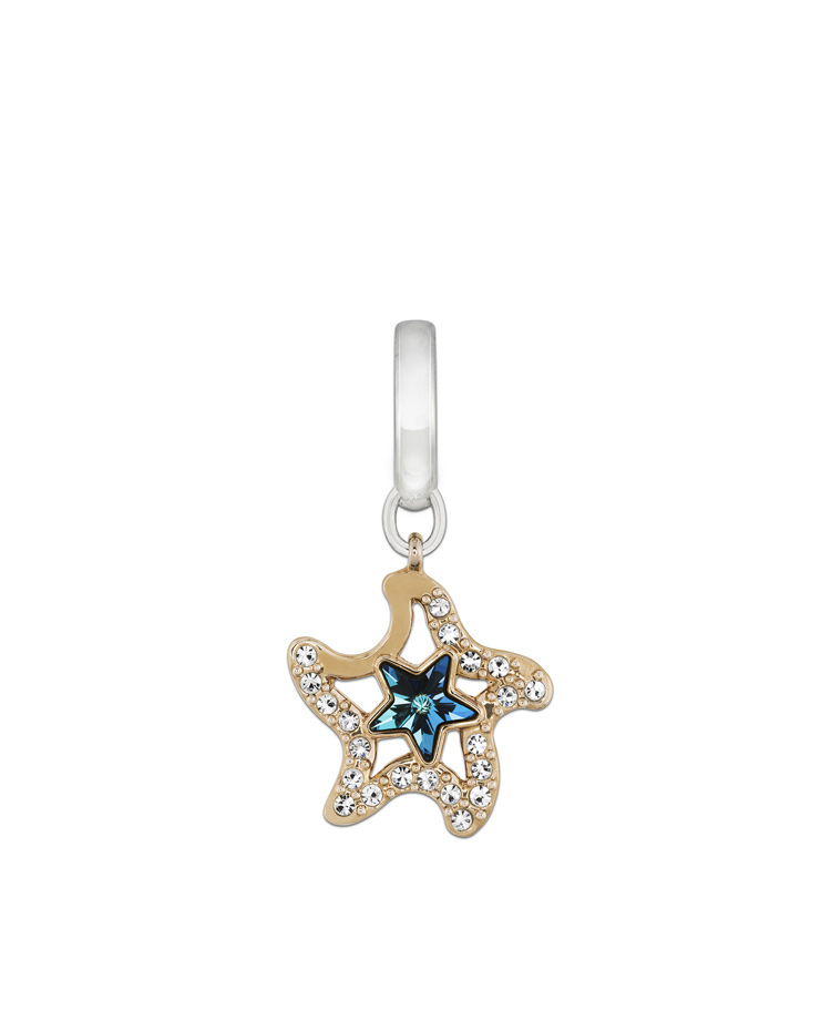 CHARM