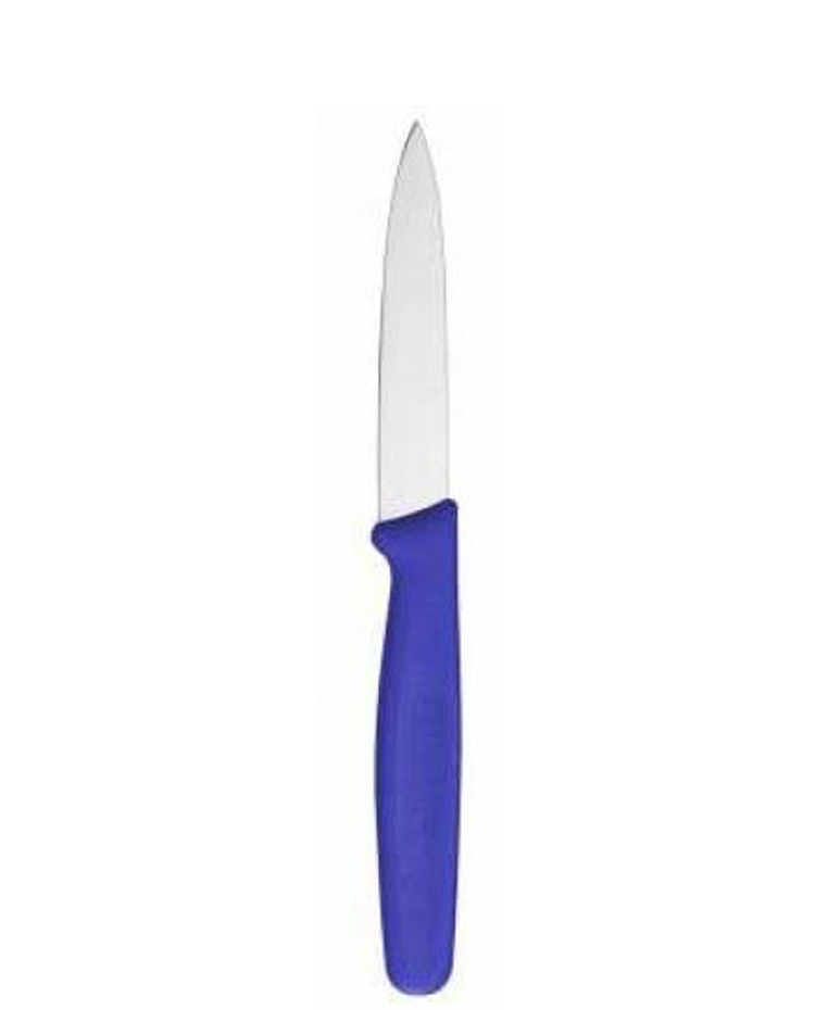 چاقوی میوه خوری با روکش مخصوص