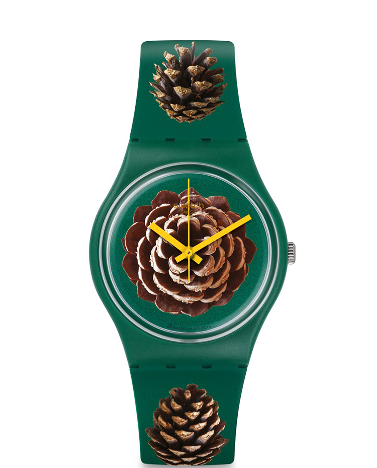 PINEZONE